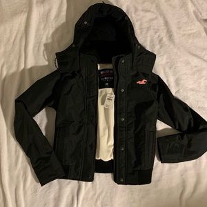 Hollister Winter Jacket